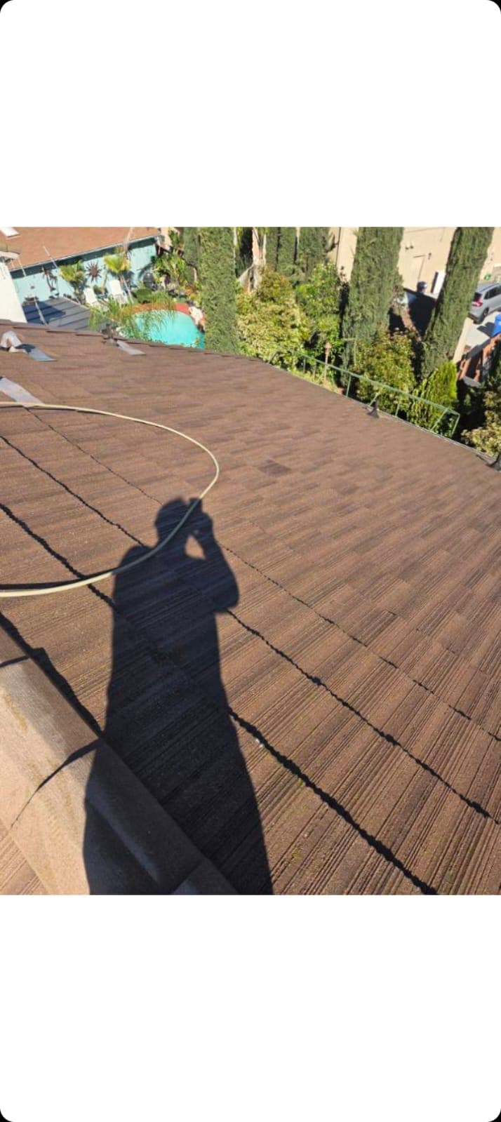 Tile roof cleaning and treatment